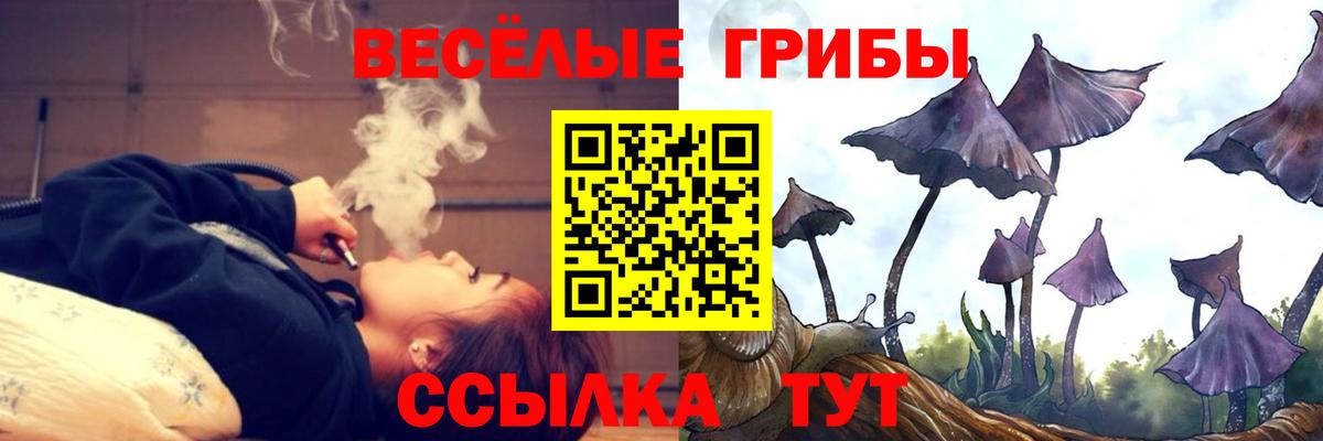 Донской  Псилоцибиновые грибы прущие грибы  Вход с VPN 